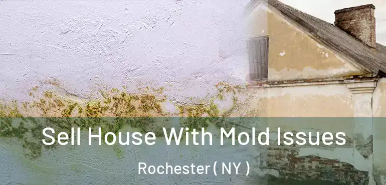  Sell House With Mold Issues Rochester ( NY )